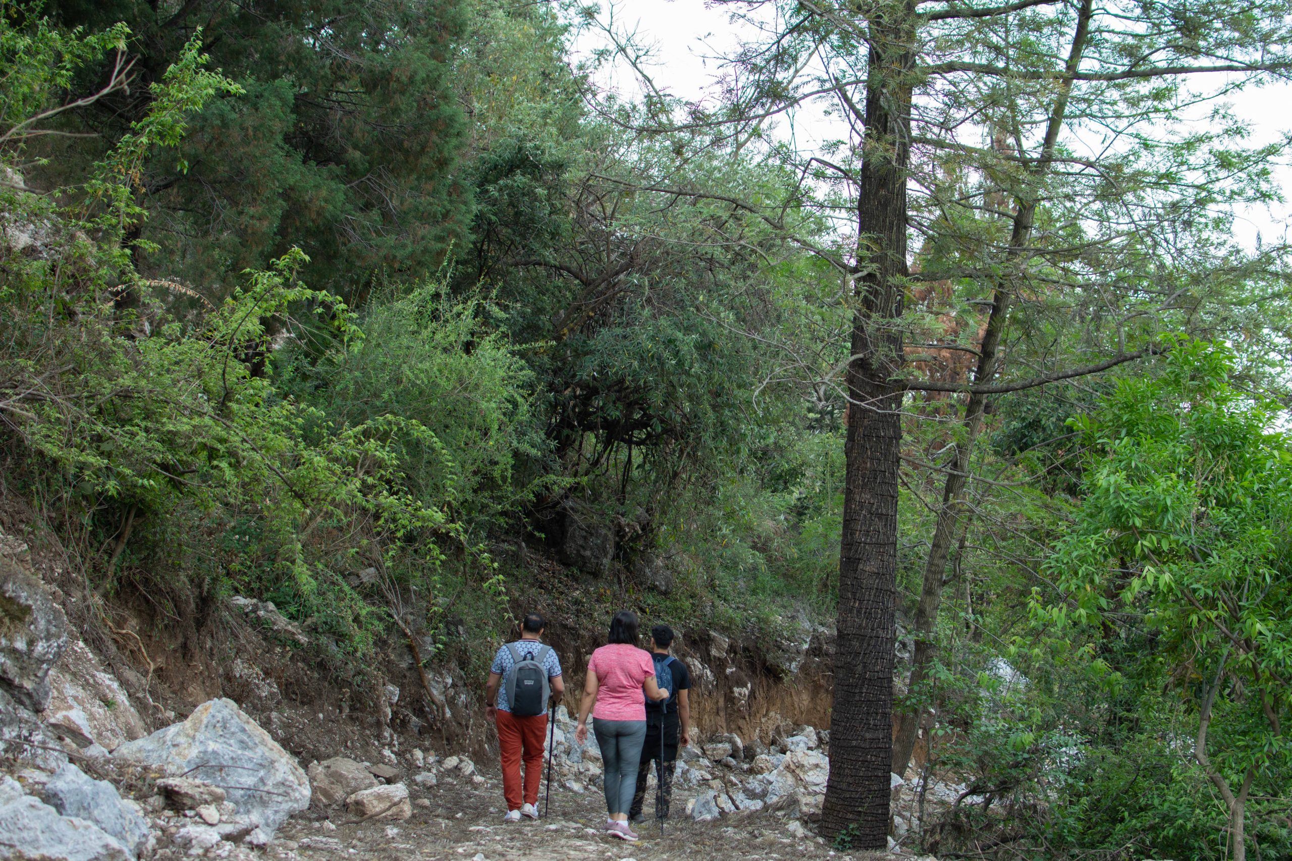 Hiking in Rishikesh